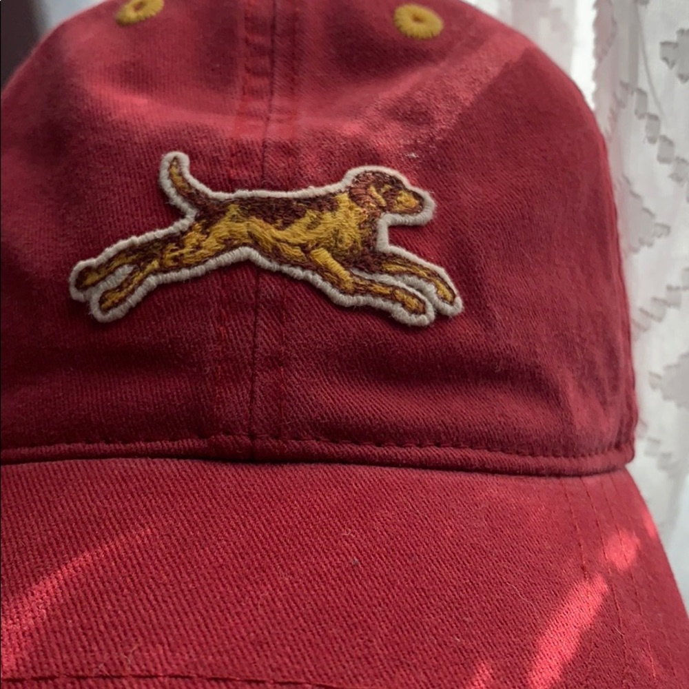 🐶 NWOT A&F Dad Hat